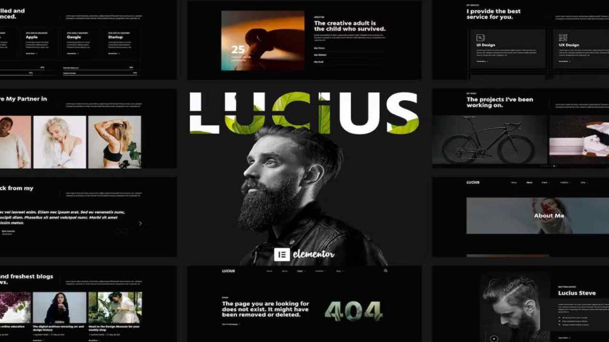 Lucius - Personal Portfolio Elementor Template Kit - Image 1